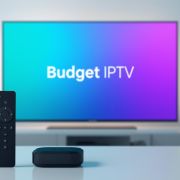 1 Year Budget Plan